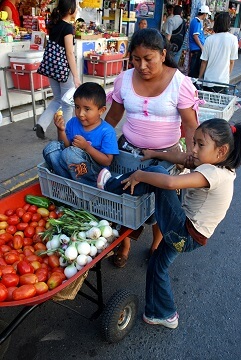 A woman sells vegetables at the market with her two children